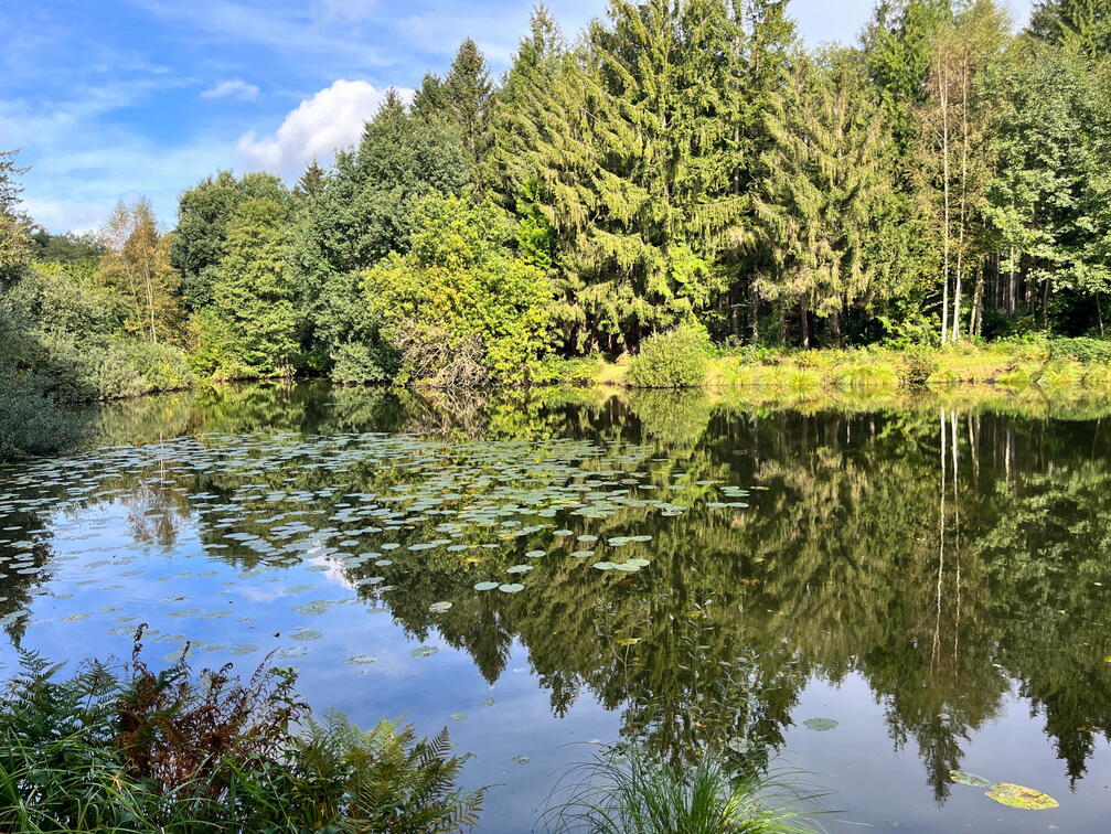 23-09-22 10-37-58 7227